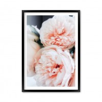 Pastel Flowers.
