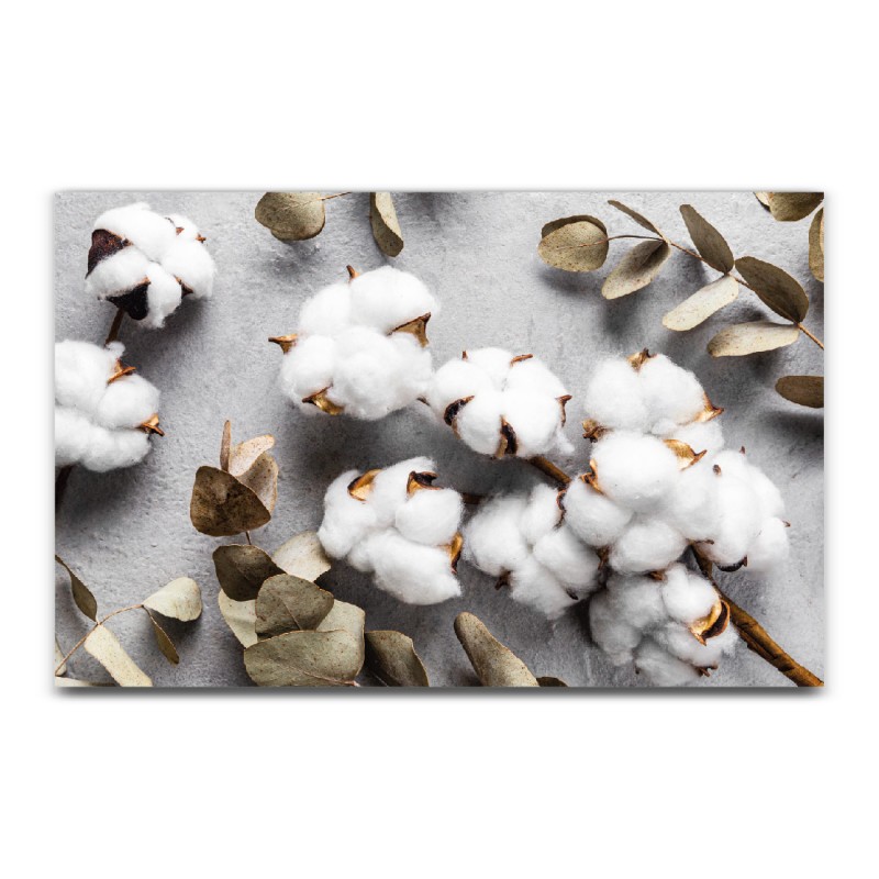 Cotton