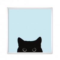 Котик.