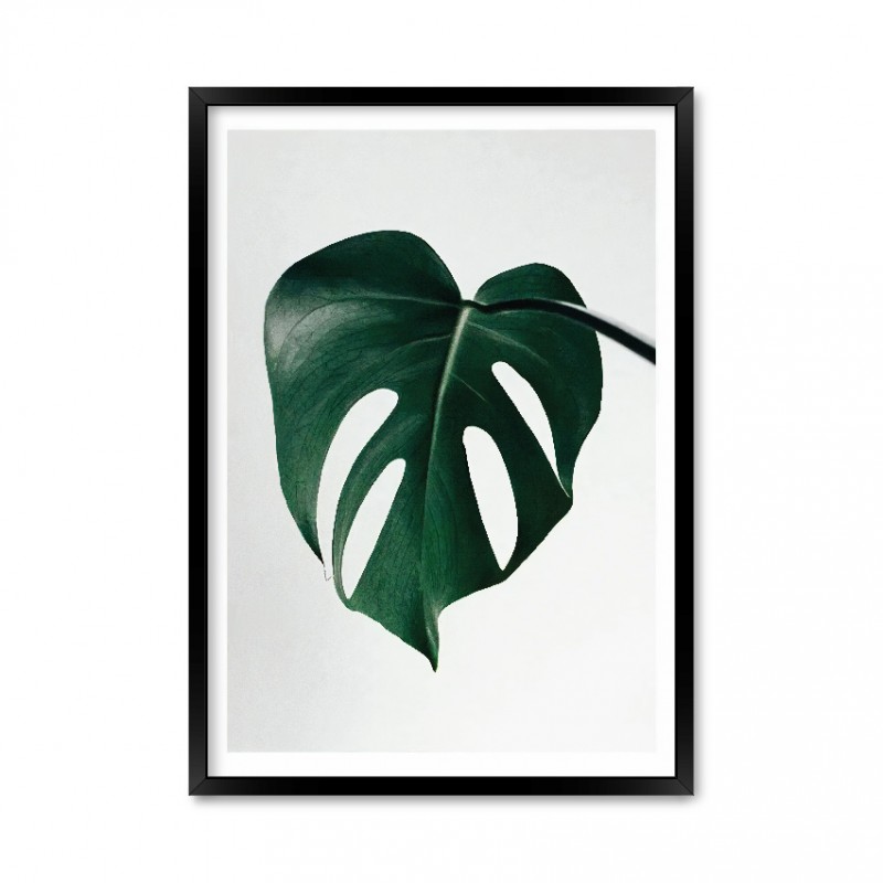 Leaf 05.