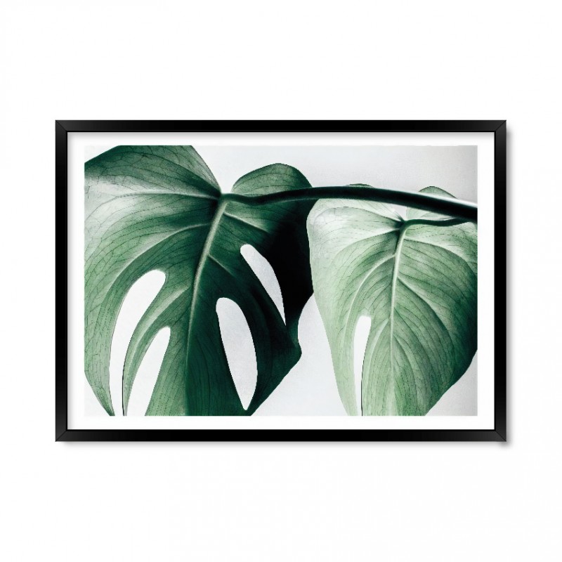 Leaf 04.