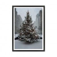 Christmas Tree.