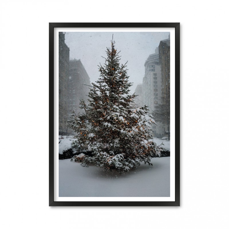 Christmas Tree.