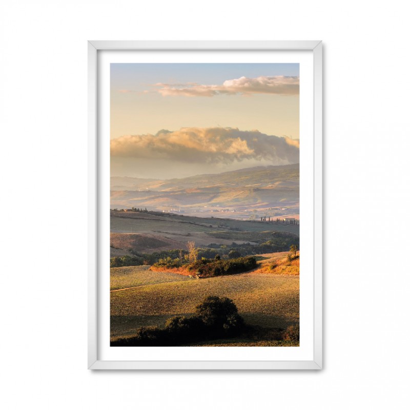 Italian Fields