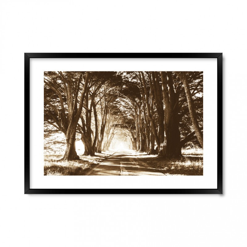 Sepia — Road