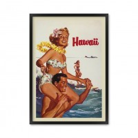 Hawaii pin up.