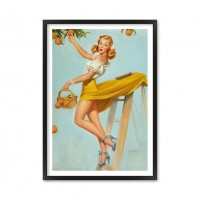 Orange pin up.