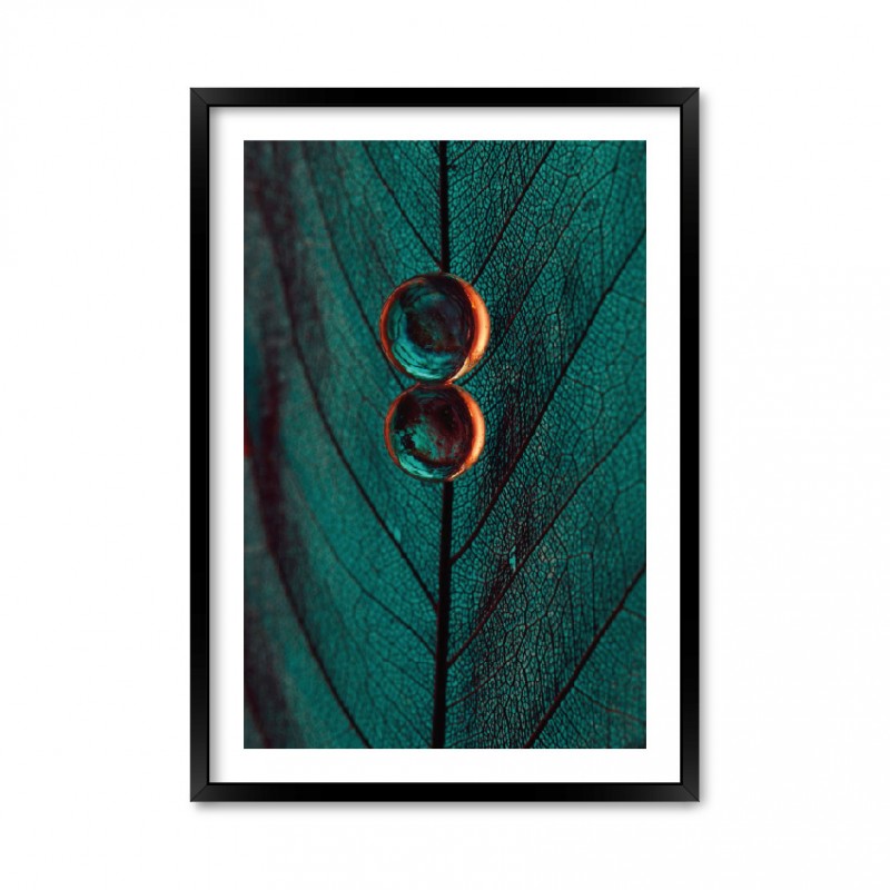 Drops