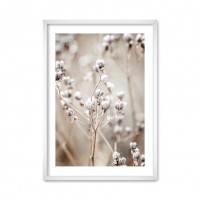 Collection nature 01.