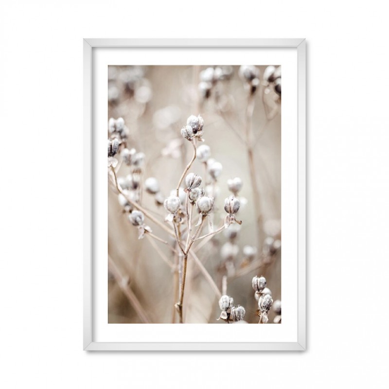 Collection nature 01.
