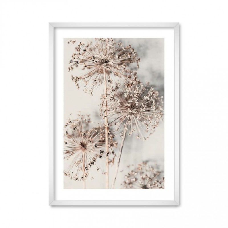 Collection nature 02.
