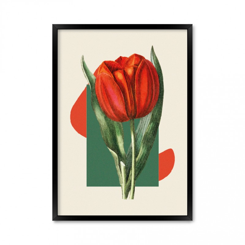 Art tulip.