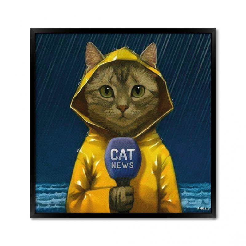 Cat news.
