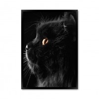 Black cat.