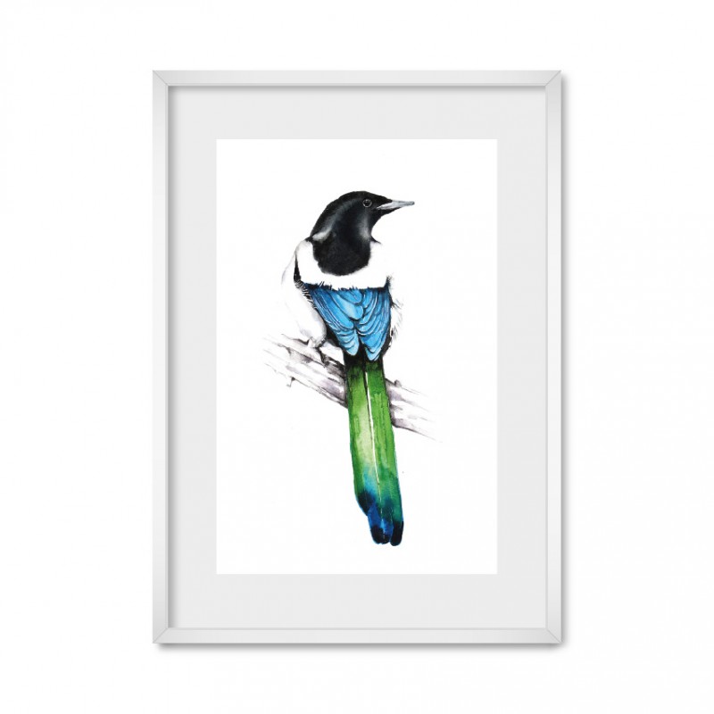 Magpie