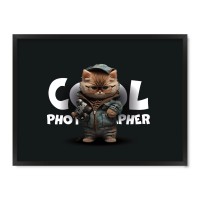 Кот фотограф.