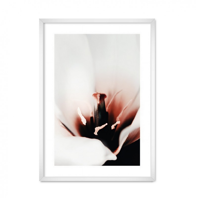 EARTH FLOWER.