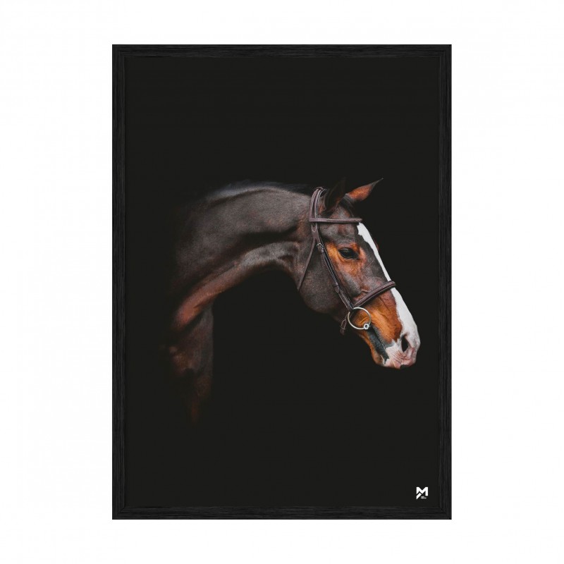 Horse.