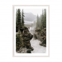 Forest River.