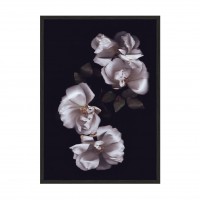 Flower Dream N01.