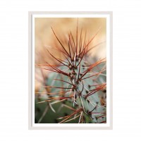 Flowers vol 7.