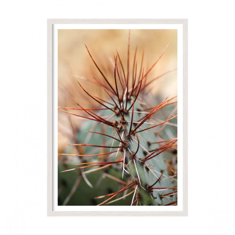 Flowers vol 7.