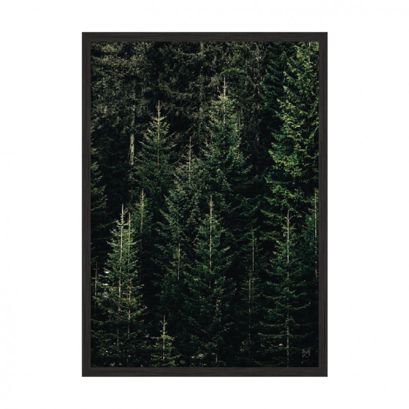Green Forest.
