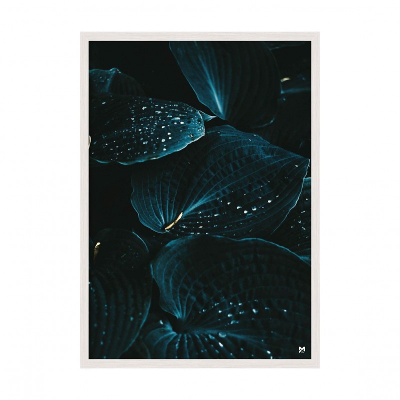 Leaves.