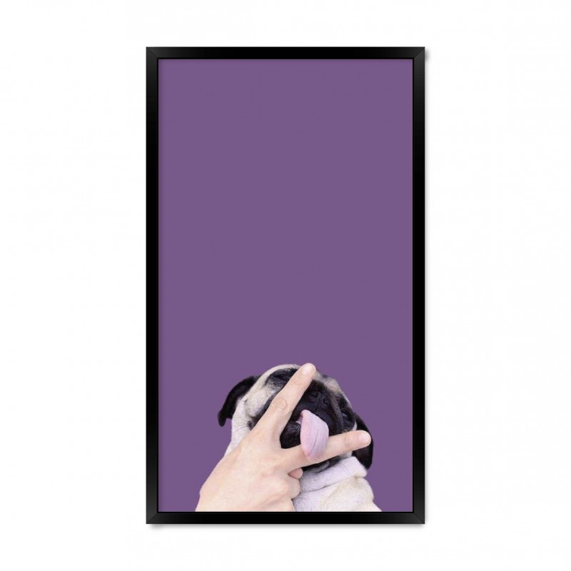 Мопс 02