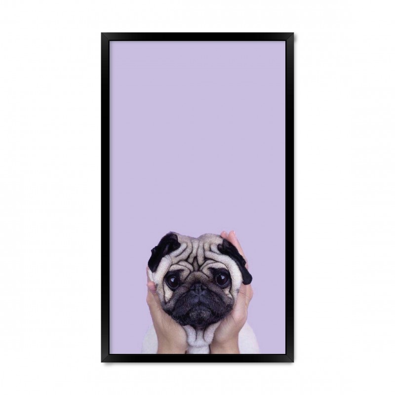 Мопс 03
