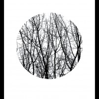 Постер "Forest"