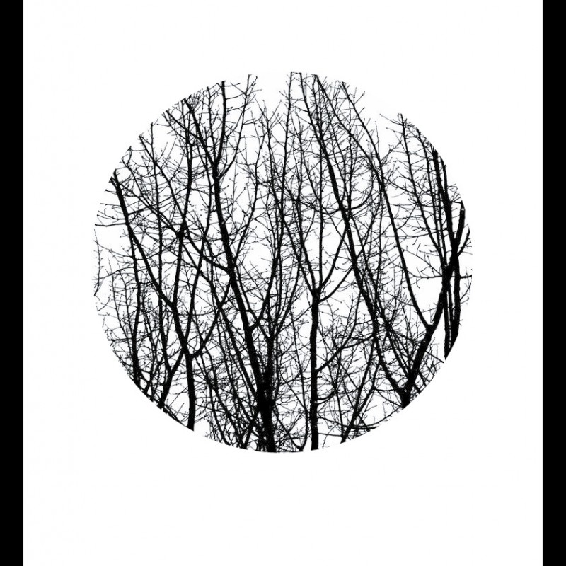 Постер "Forest"