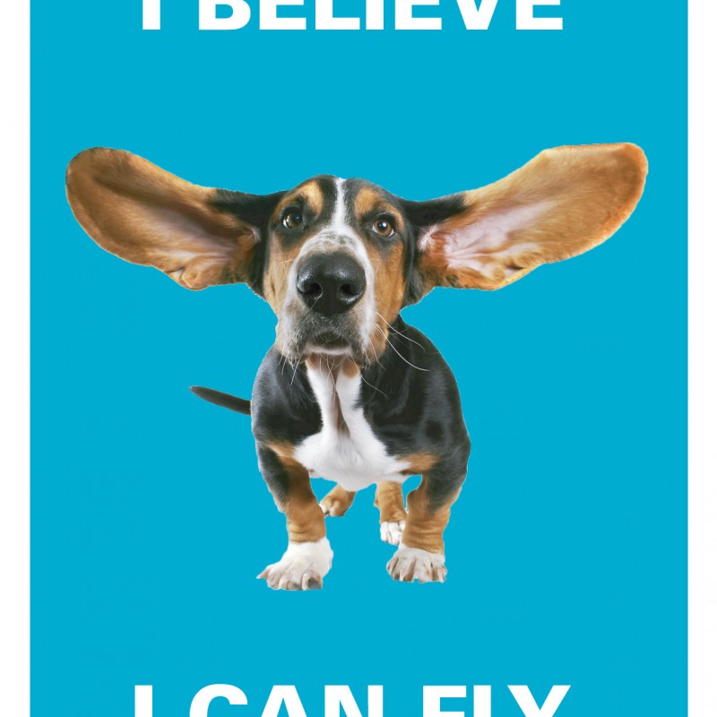 Постер I believe I can fly