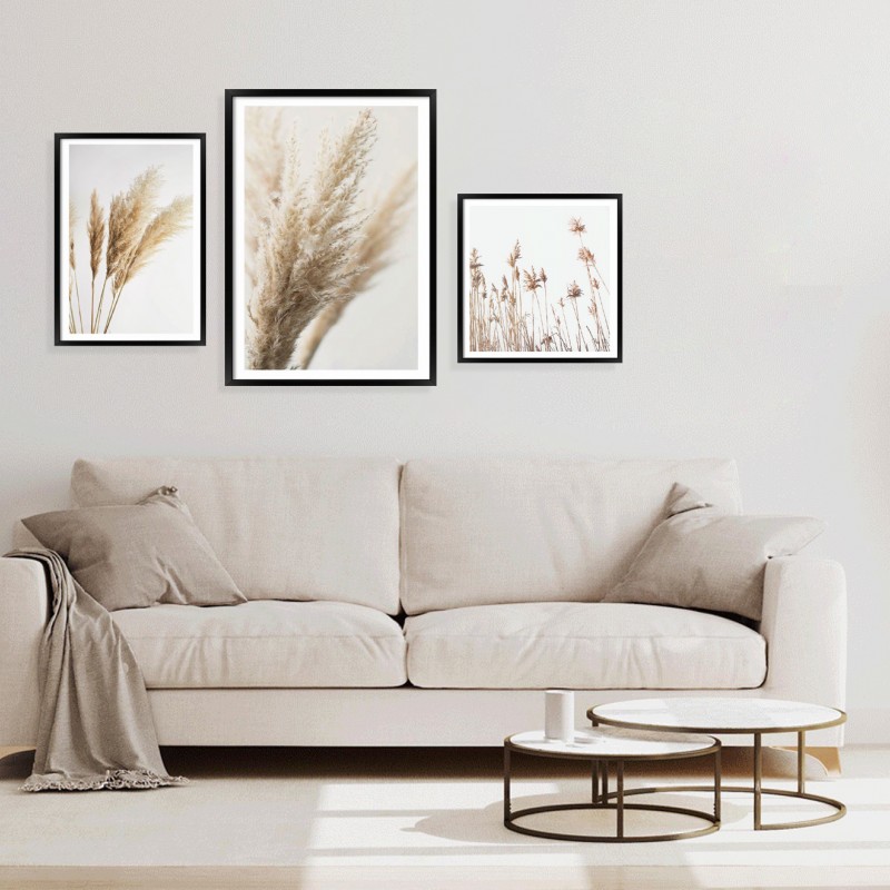 Spikelets of Wheat.