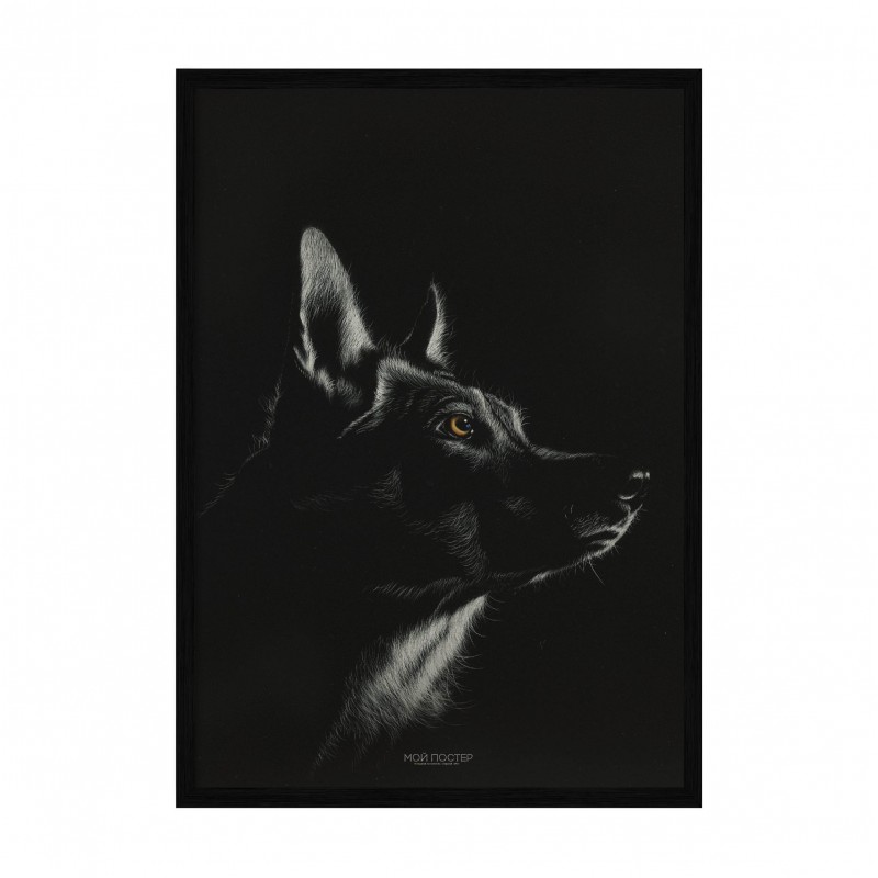 Wolf.