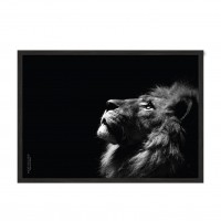 Lion.