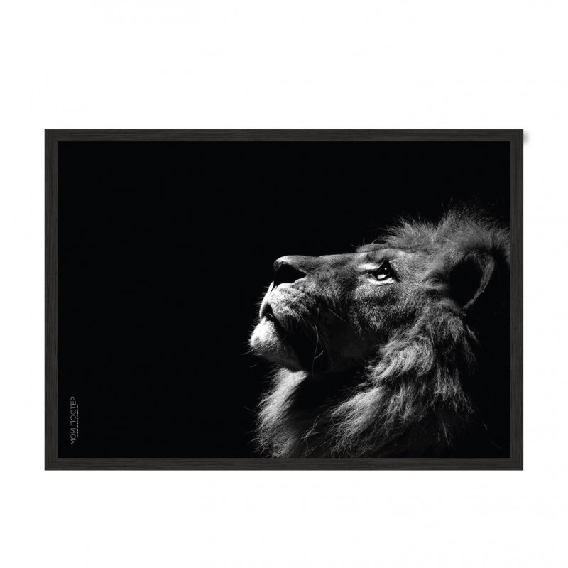 Lion.