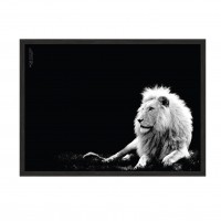 Lion vol 2.