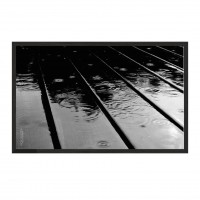 Rain.