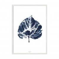 Blue leaf.