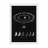 View of Venus.