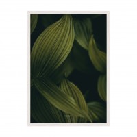 Green leaves 01.