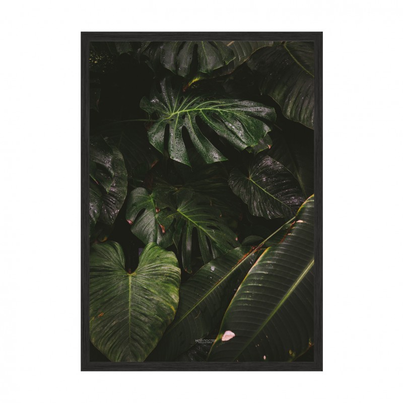 Green leaves.