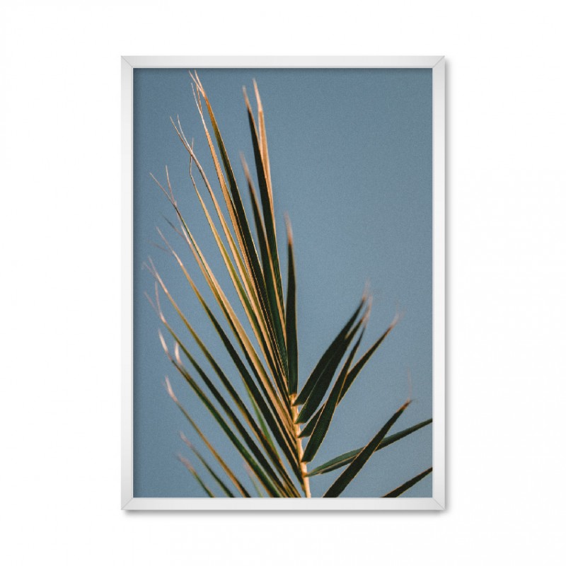 Palm Leaves