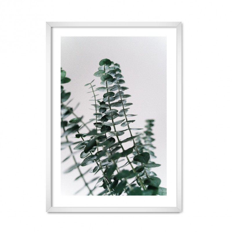 Botany — Flowers