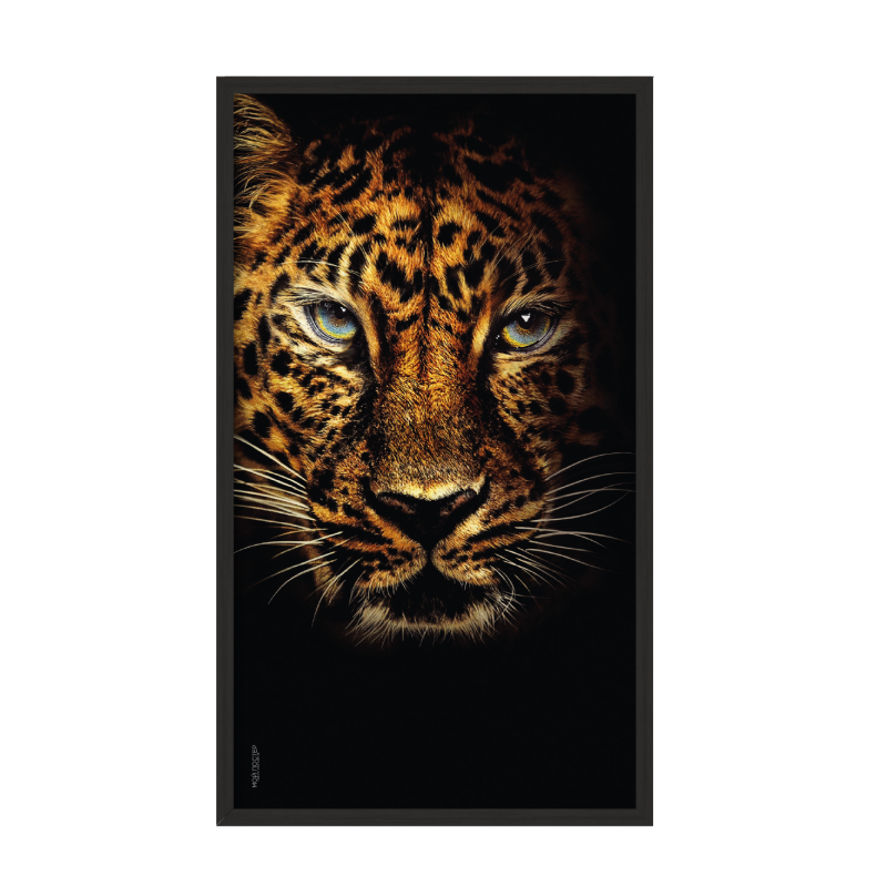 Tiger.