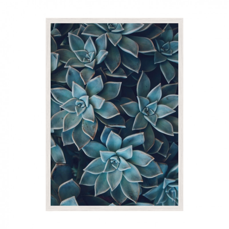 Leaves 03.