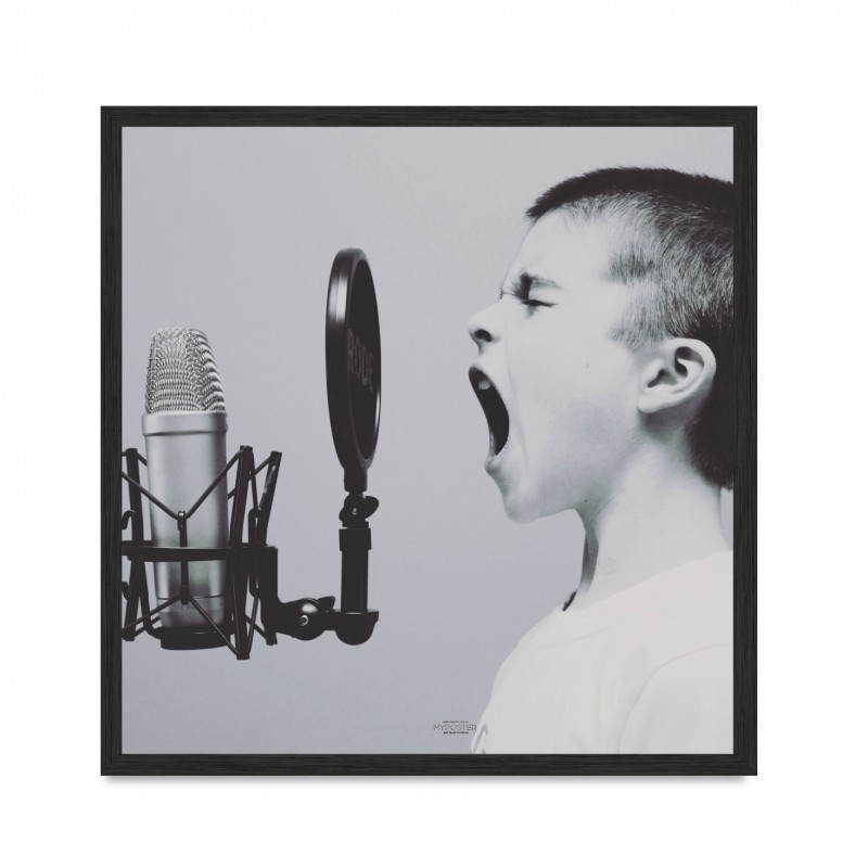 Voice.