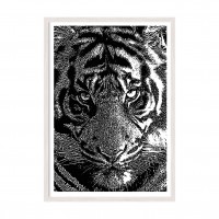 Tiger.