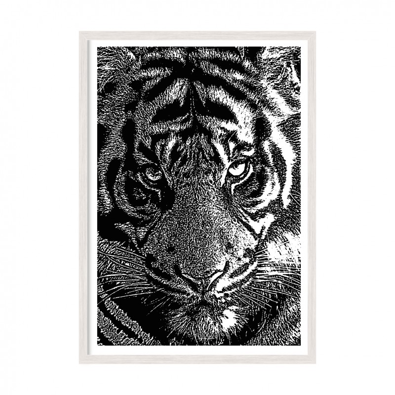 Tiger.